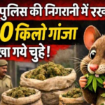 Jharkhand News: राष्ट्रपति द्रौपदी मुर्मू ने तोड़ा प्रोटोकॉल, सड़क पर उतरकर लोगों से की मुलाकात